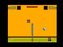 Extreme Volleyball Infernal League