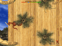 Monkey Swing